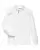 119101_f_fl.webp