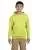 12133.webp