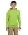 12137.webp