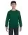 12165.webp