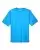 121664_f_fl.webp