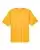 121666_f_fl.webp