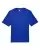 121681_f_fl.webp