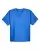 122428_f_fl.webp