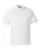 124025_f_fl.webp
