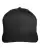 125223_f_fl.webp