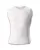 12961.webp