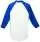 13723.webp