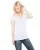 14067.webp