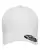 141302_f_fl.webp