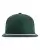 141333_f_fl.webp