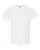 142036_f_fl.webp