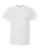 142041_f_fl.webp