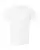 142047_f_fl.webp