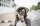 145.webp
