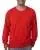 14591.webp