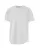 14782.webp