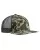 14968.webp