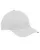 15016.webp