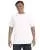 15213.webp