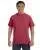 15233.webp
