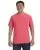 15235.webp