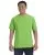 15241.webp