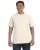15242.webp