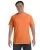 15250.webp