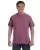 15252.webp