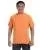 15255.webp