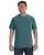 15256.webp