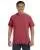 15262.webp