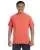 15263.webp