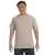 15264.webp