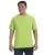 15266.webp