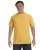 15268.webp