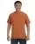 15275.webp