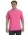 15290.webp