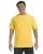 15294.webp