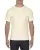 153702.webp