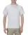 153762.webp