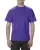 153816.webp
