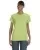 15394.webp