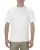 154141.webp
