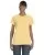 15417.webp