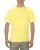 154175.webp
