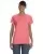 15424.webp