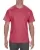 154354.webp
