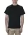 154390.webp